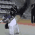 World's Best Tricksters